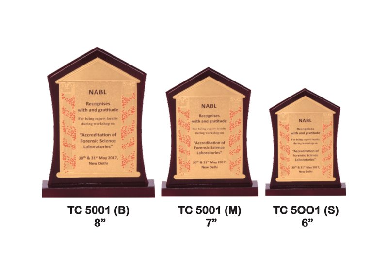 Foil Trophy