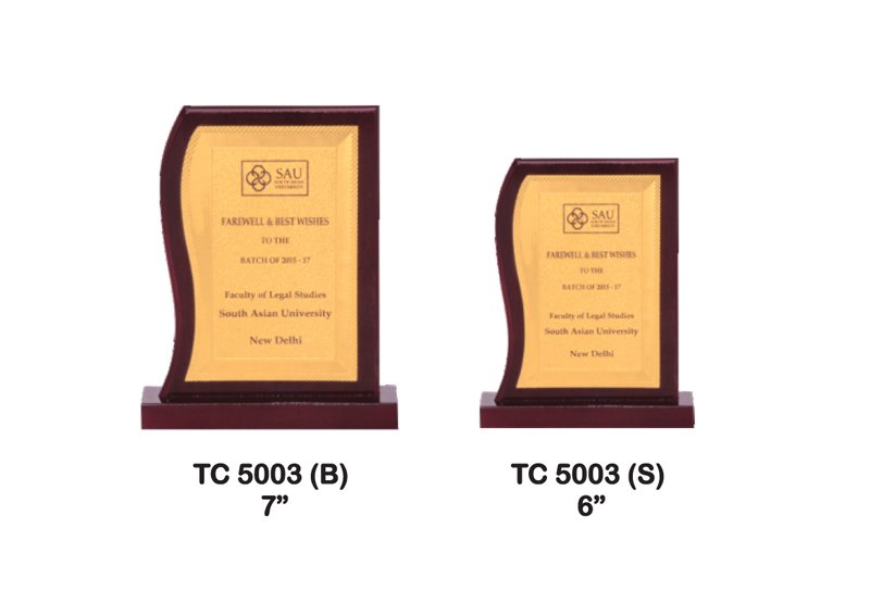 Foil Trophy Seller in Delhi India
