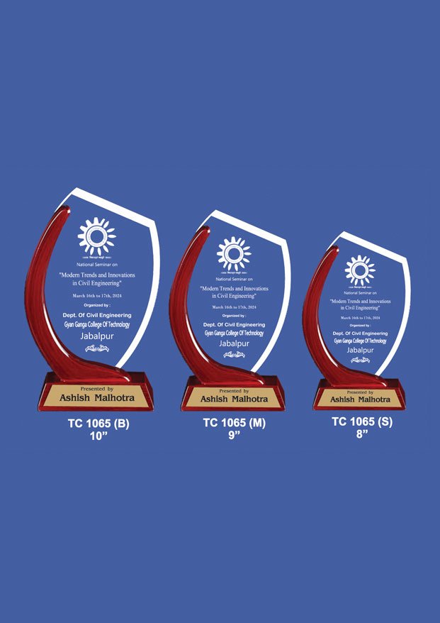 Acrylic Sports Trophy Supplier in Gurugram