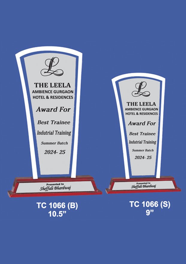 Corporate Acrylic Sports Trophy Manufacturer in Nagpur