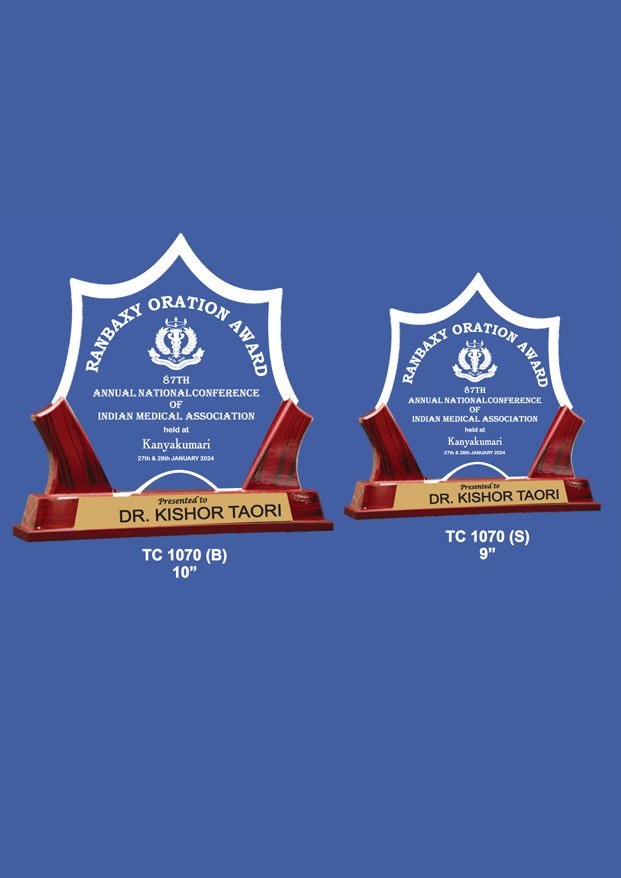 Hockey Acrylic Sports Trophy Supplier in Delhi