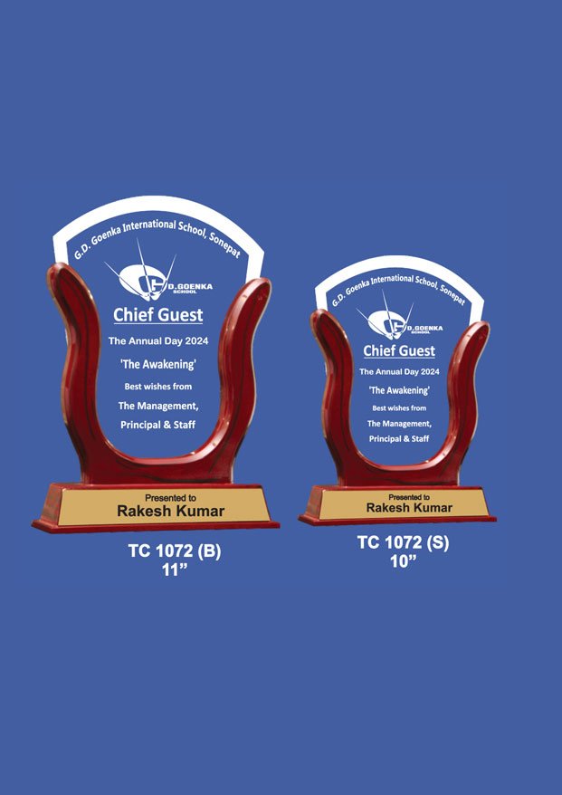 Acrylic Sports Trophy Supplier in Noida