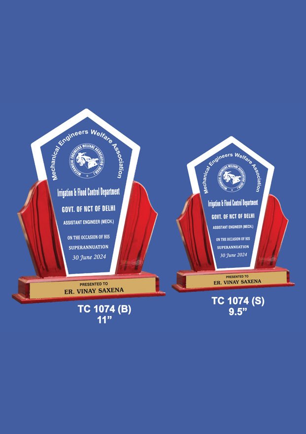 Acrylic Trophy Maker in Delhi
