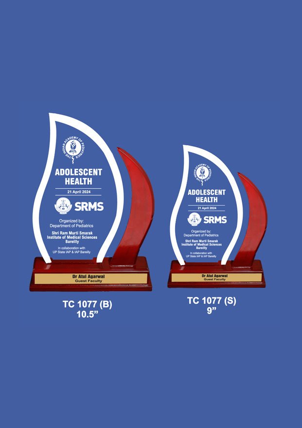 Acrylic Trophy Maker in Ghaziabad