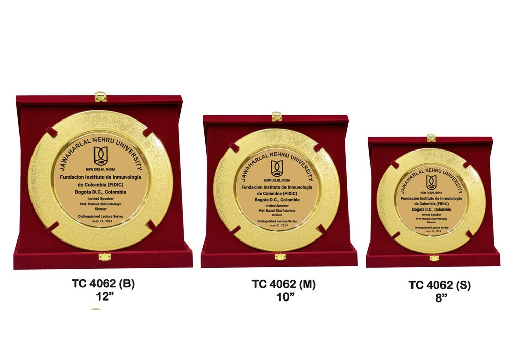 Metal Frame Trophy Manuafcturer in Delhi
