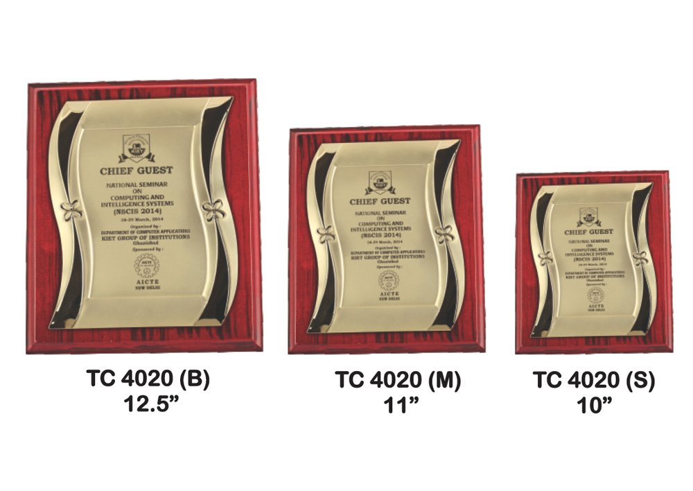 Metal Frame Trophy Manuafcturer in Delhi