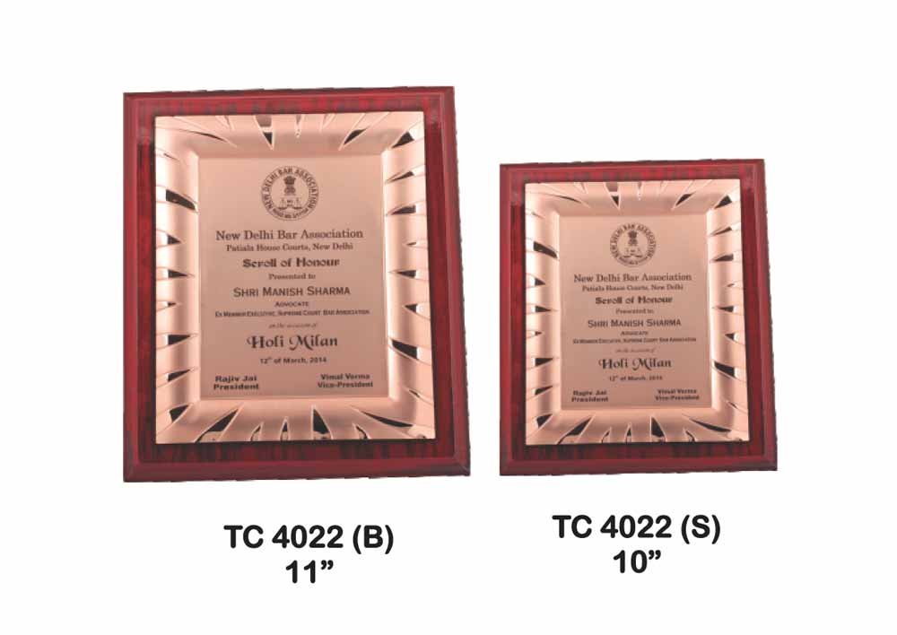 Metal Frame Trophy Manuafcturer in Delhi