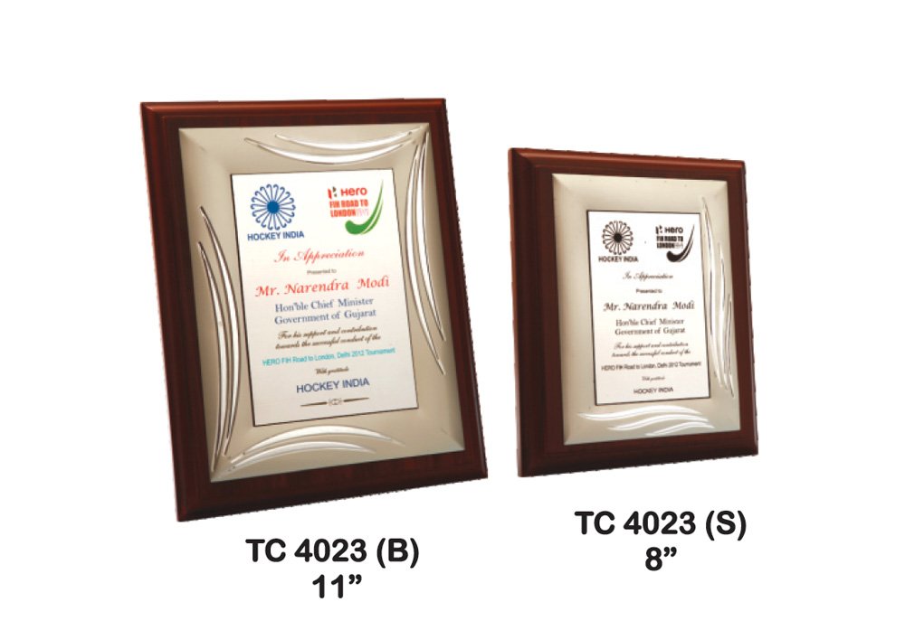 Metal Frame Trophy Manuafcturer in Delhi