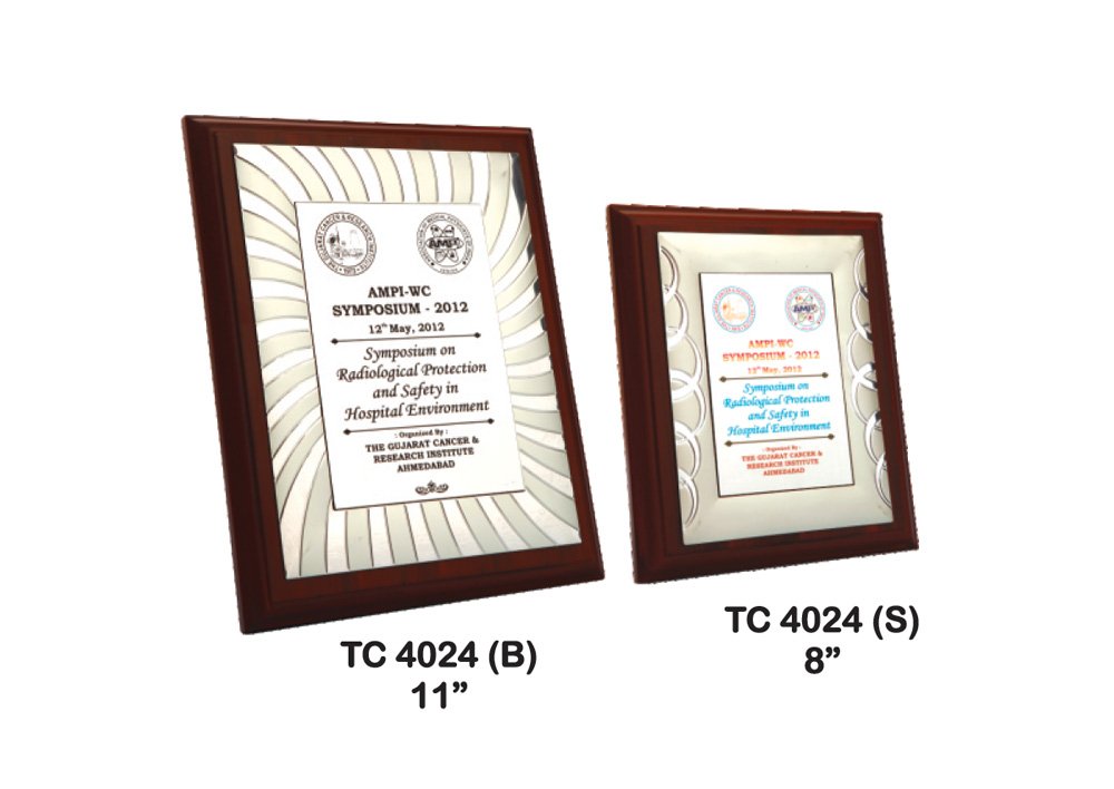 Metal Frame Trophy Manuafcturer in Delhi