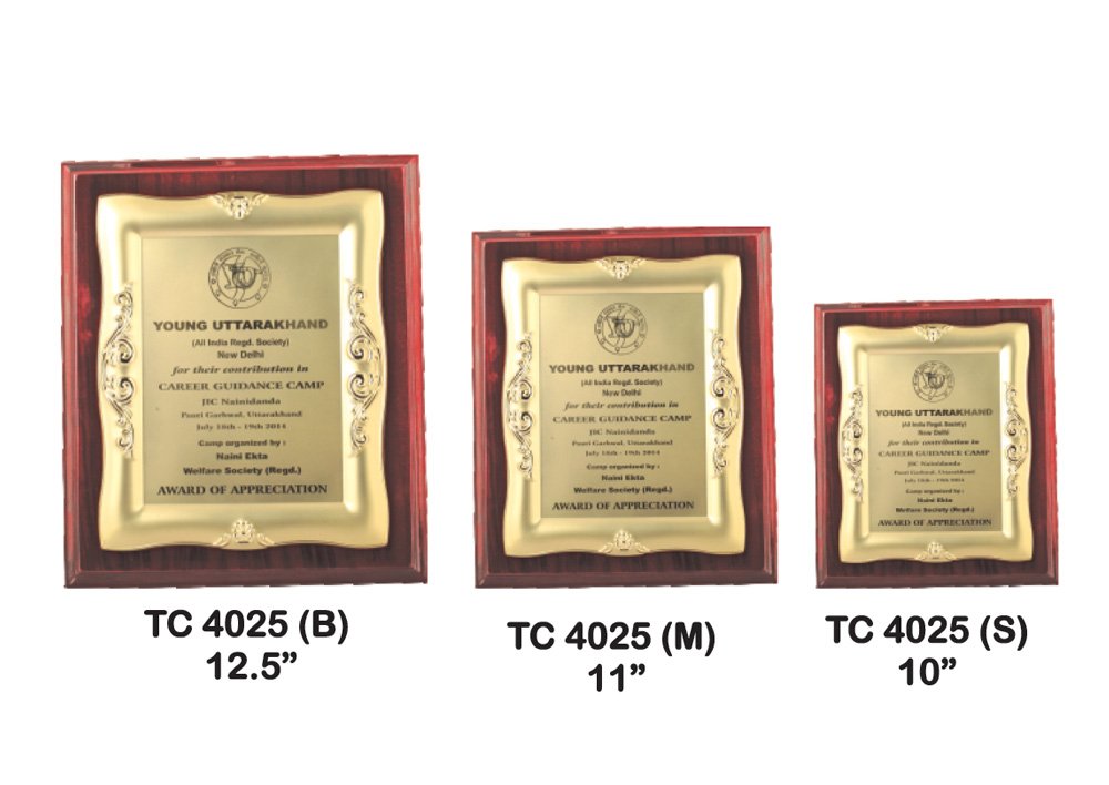 Metal Frame Trophy Manuafcturer in Delhi