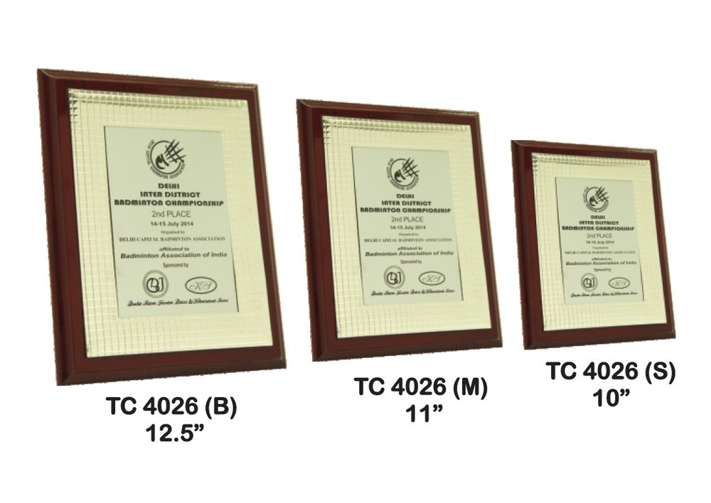 Metal Frame Trophy Manuafcturer in Delhi