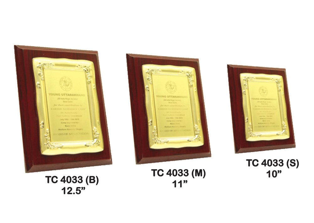 Metal Frame Trophy Manuafcturer in Delhi