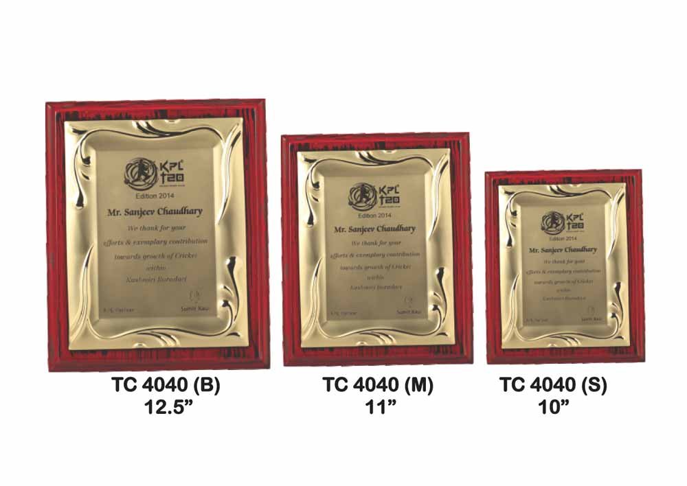 Metal Frame Trophy Manuafcturer in Delhi