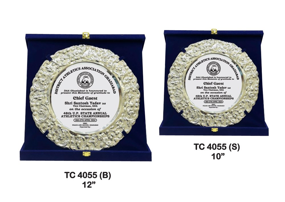 Metal Frame Trophy Manuafcturer in Delhi
