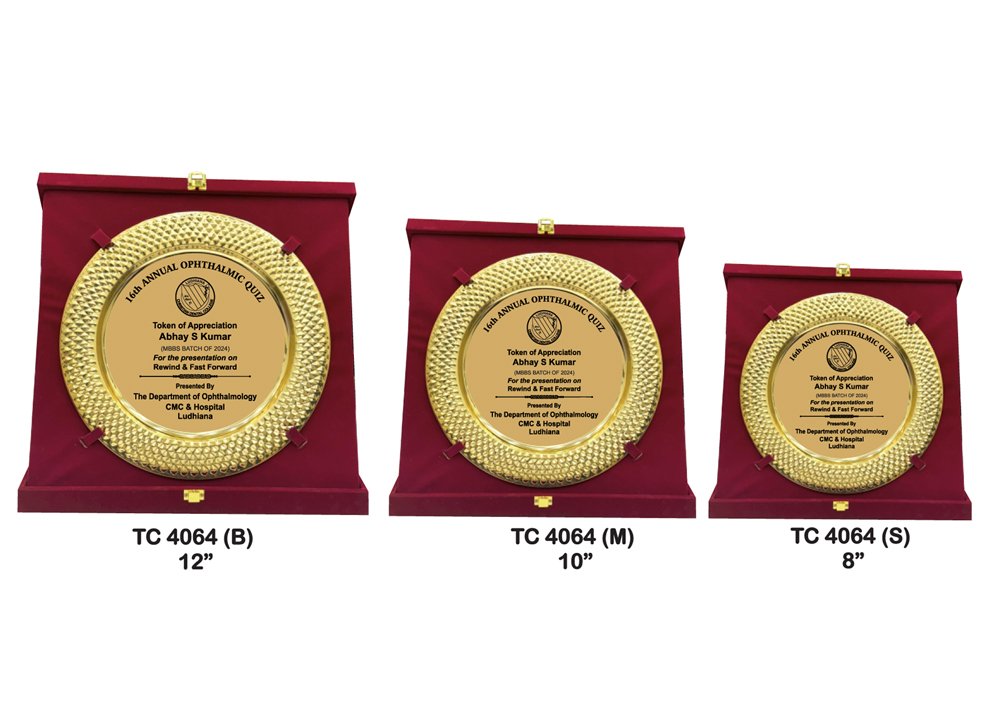 Metal Frame Trophy Manuafcturer in Delhi