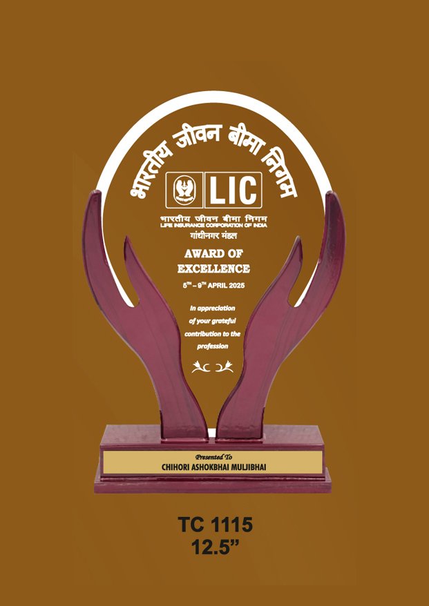 Acrylic-Exellence-Trophy-Manufacturer-1019