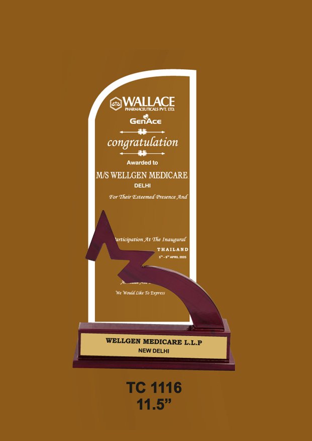 Acrylic-special-College-Trophy-Manufacturer-1020