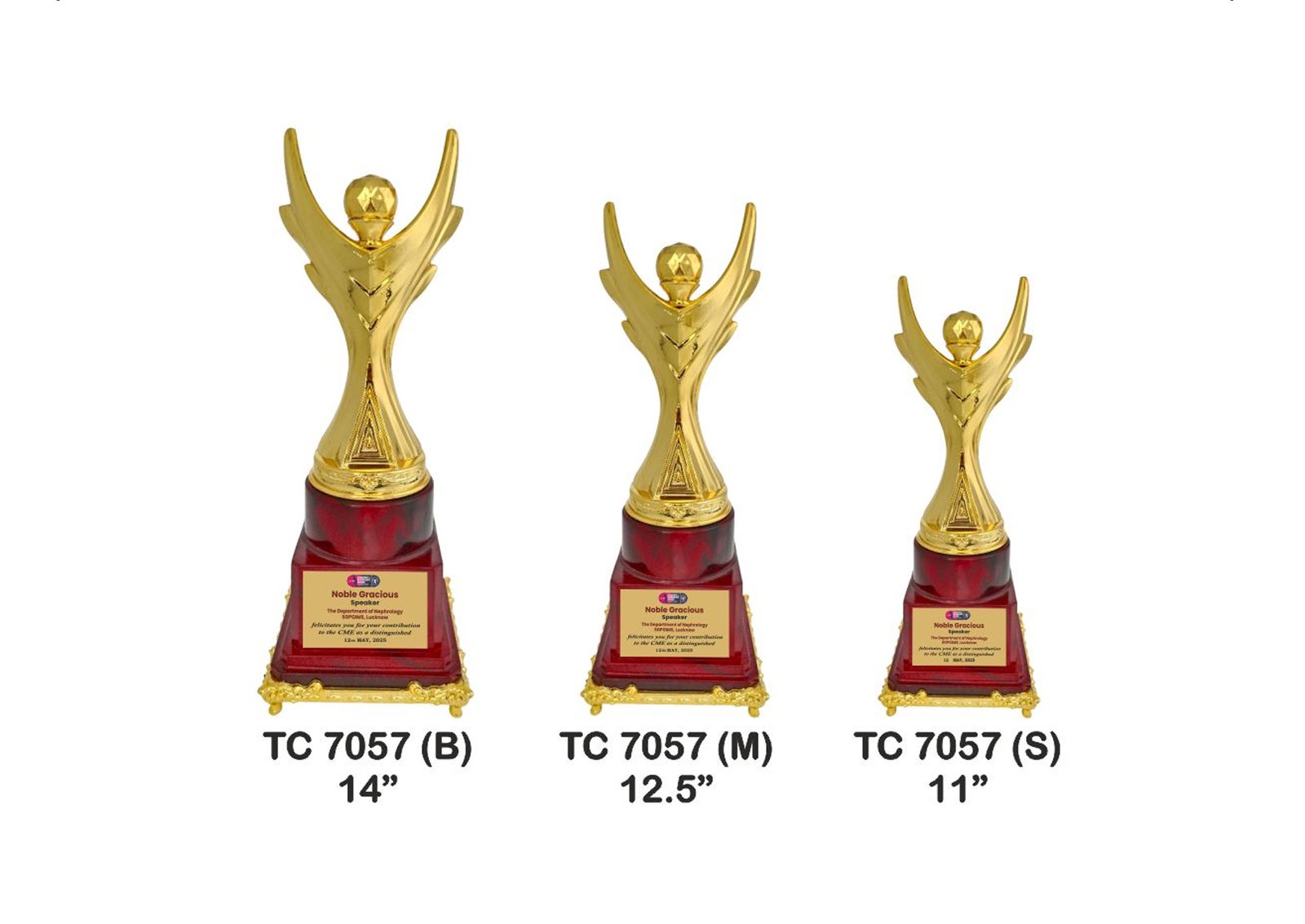 Trophy Manufacturer in Noida