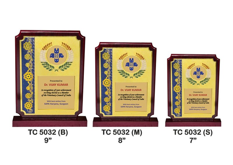 Customized-Corporate-Foil-Trophy-Supplier-5032