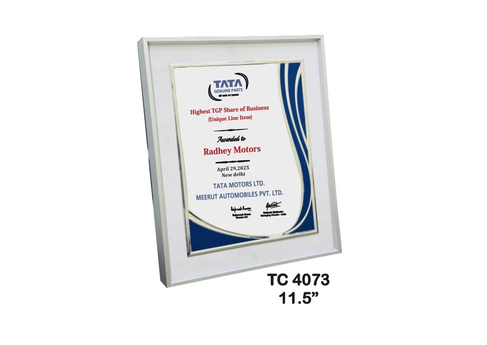 Customized-Industrial-Metal-frame-Trophies-4073
