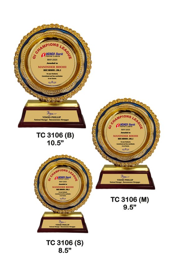 Customized-banks--plastic-frame-trophy-manufacturer-3106