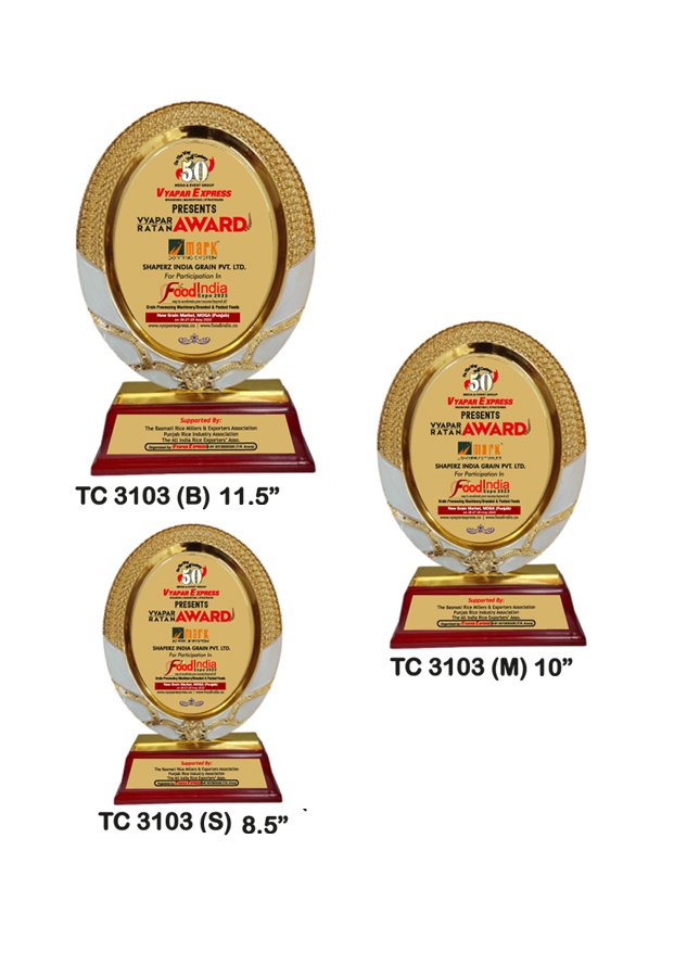 Customized-corporate-plastic-frame-trophy-manufacturer-3103