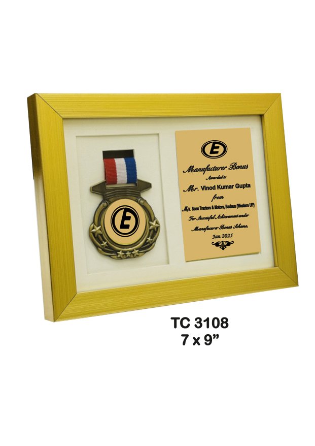 Customized-iindustrial-plastic-frame-trophy-manufacturer-3108