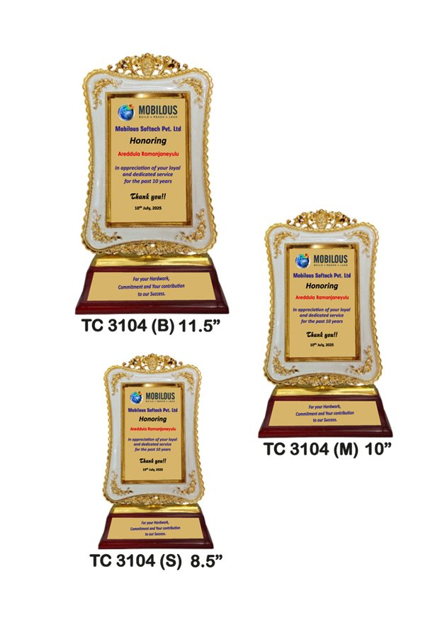 Customized-industrial-plastic-frame-trophy-manufacturer-3104