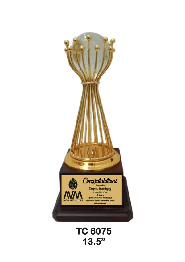 Metal-trophy-6075