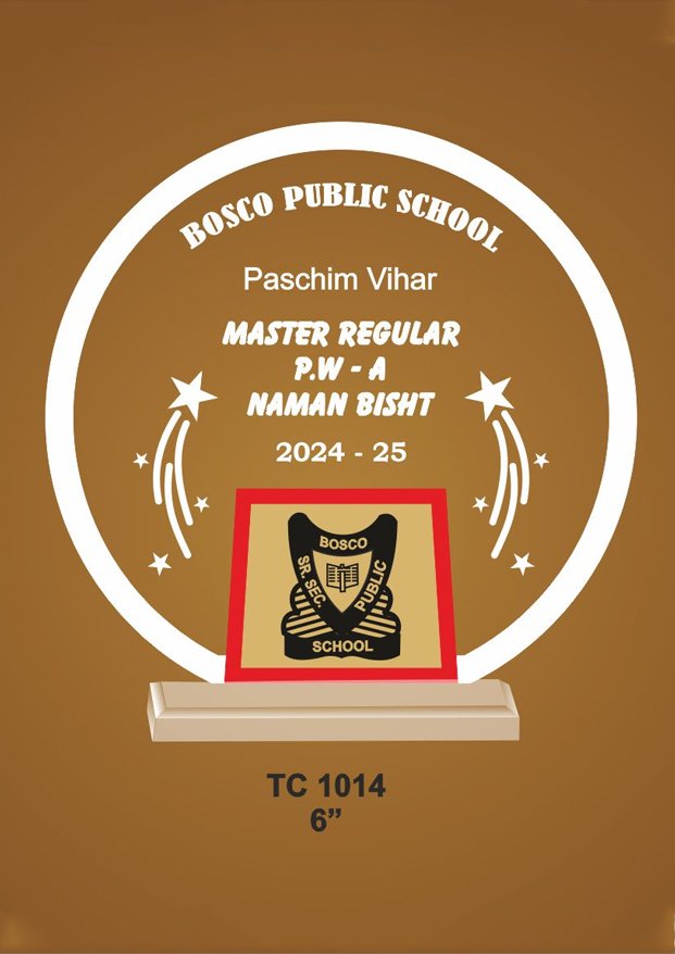 Acrylic-School-Trophy-Manufacturer-1014