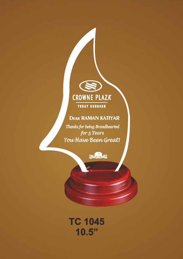 Acrylic Trophy Supplier in Delhi