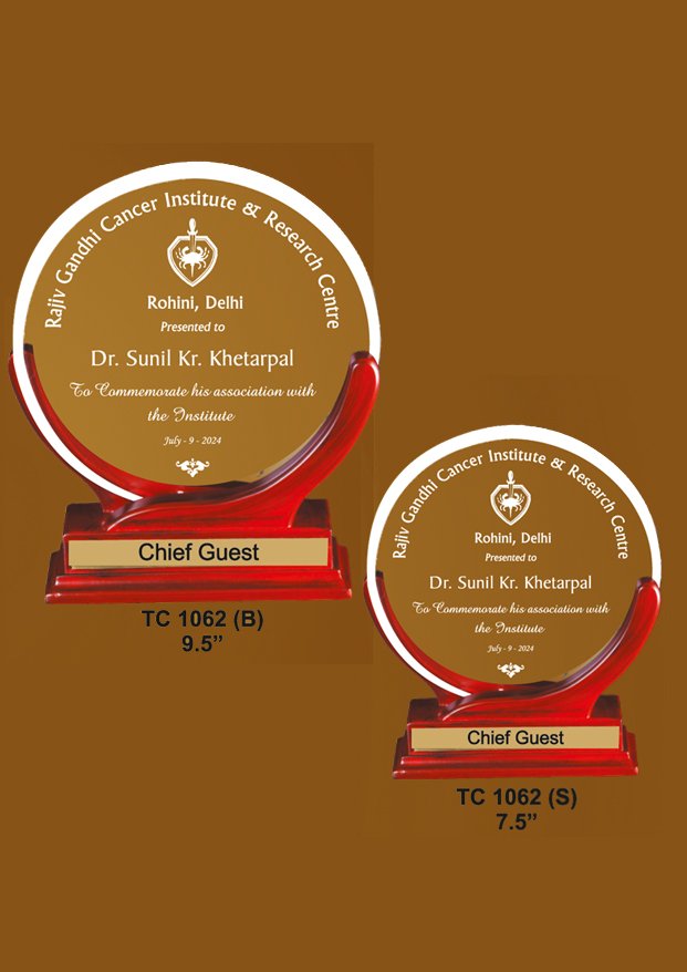 Acrylic Sports Trophy Manufacturer in Delhi