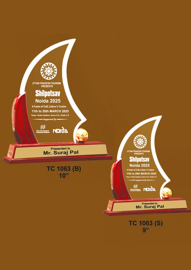 Acrylic Sports Trophy Manufacturer in Gurugram