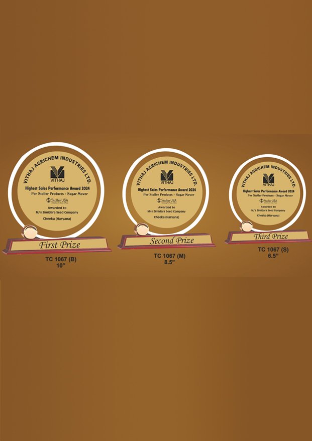 Acrylic Sports Trophy Supplier in Nagpur