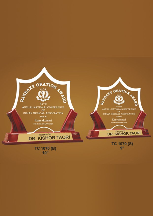 Hockey Acrylic Sports Trophy Supplier in Delhi
