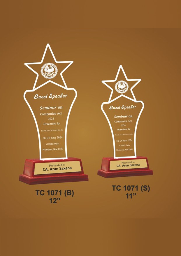 Acrylic Sports Trophy Supplier in Goa