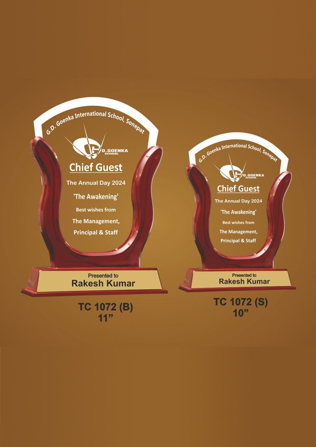 Acrylic Sports Trophy Supplier in Noida