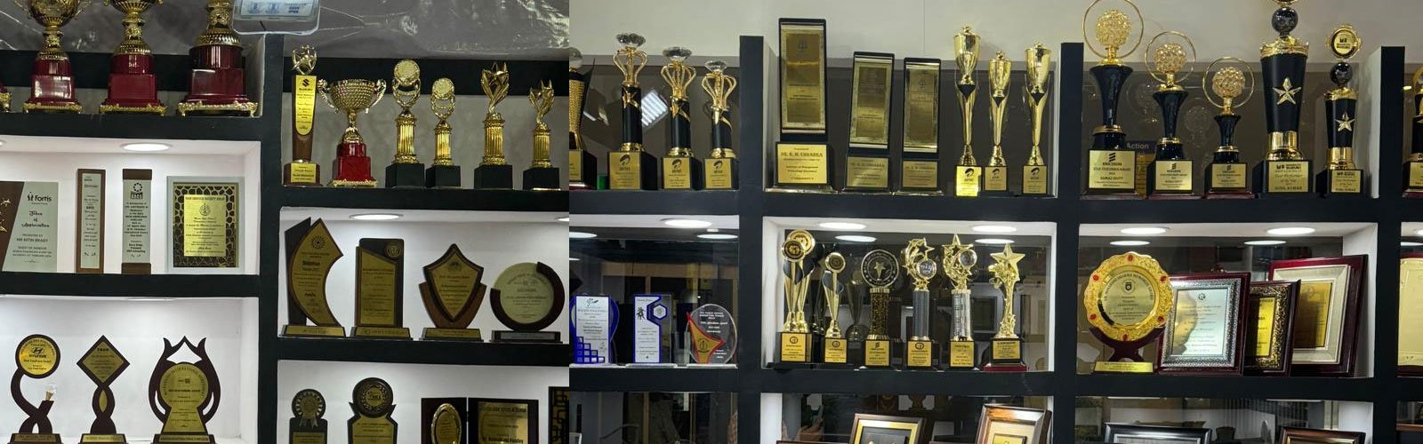 Festival Trophy Shop Near Me