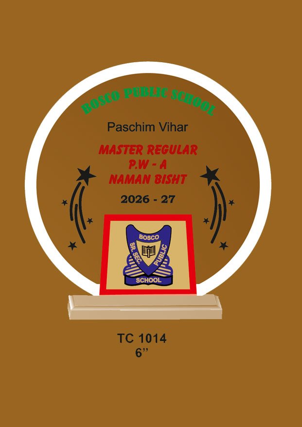 Acrylic-School-Trophy-Manufacturer-1014