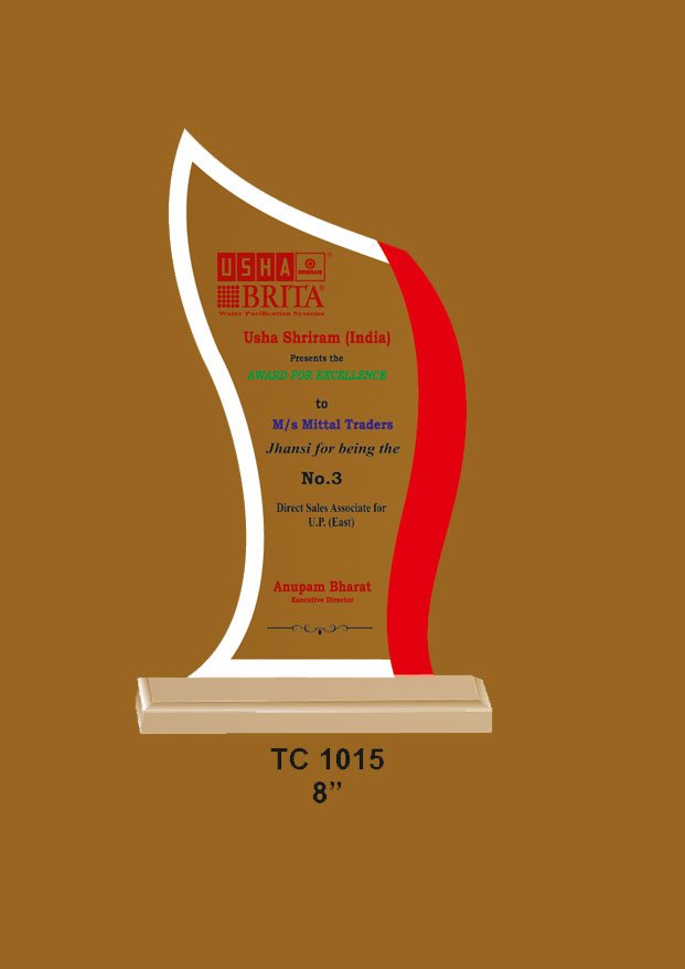 Acrylic-Companies-Trophy-Manufacturer-1015