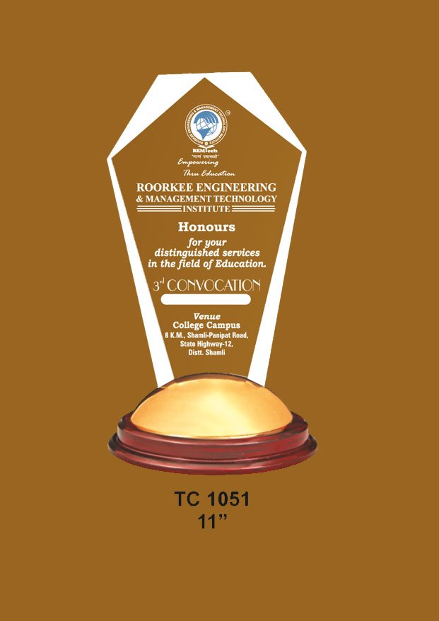 Corporate Acrylic Trophy Supplier in Delhi