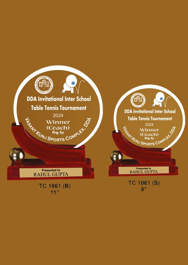 Acrylic Sports Trophy Maker in Delhi