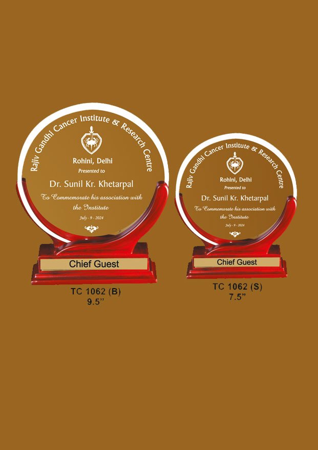 Acrylic Sports Trophy Manufacturer in Delhi