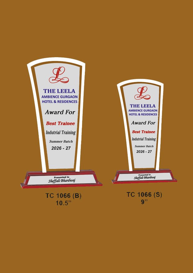 Corporate Acrylic Sports Trophy Manufacturer in Nagpur