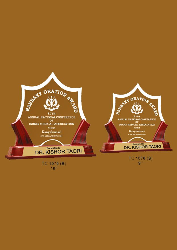 Hockey Acrylic Sports Trophy Supplier in Delhi