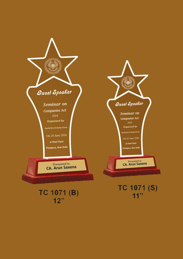 Acrylic Sports Trophy Supplier in Goa