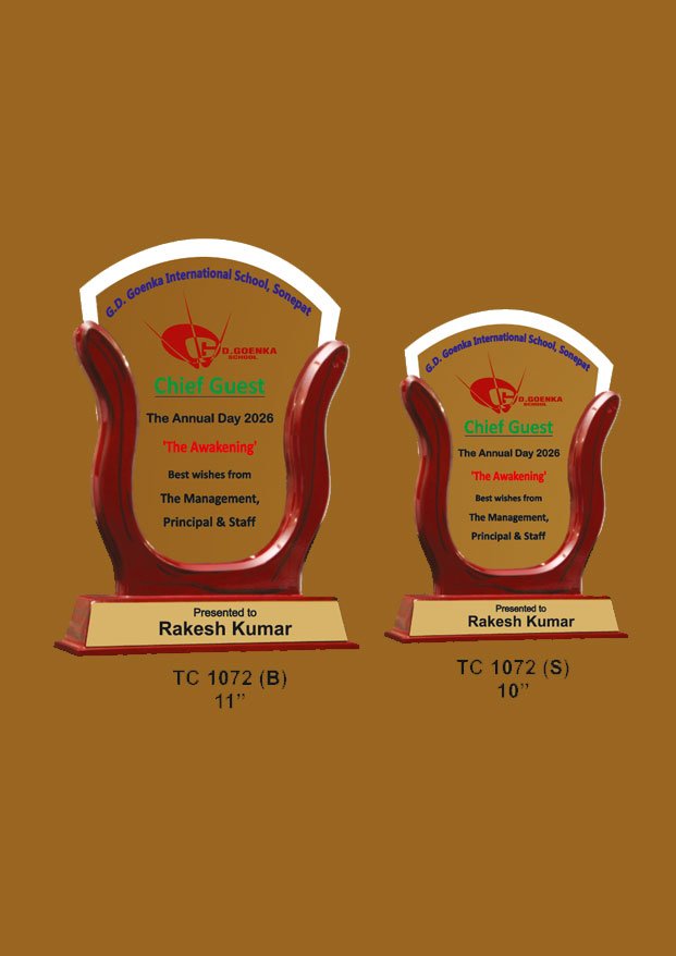Acrylic Sports Trophy Supplier in Noida