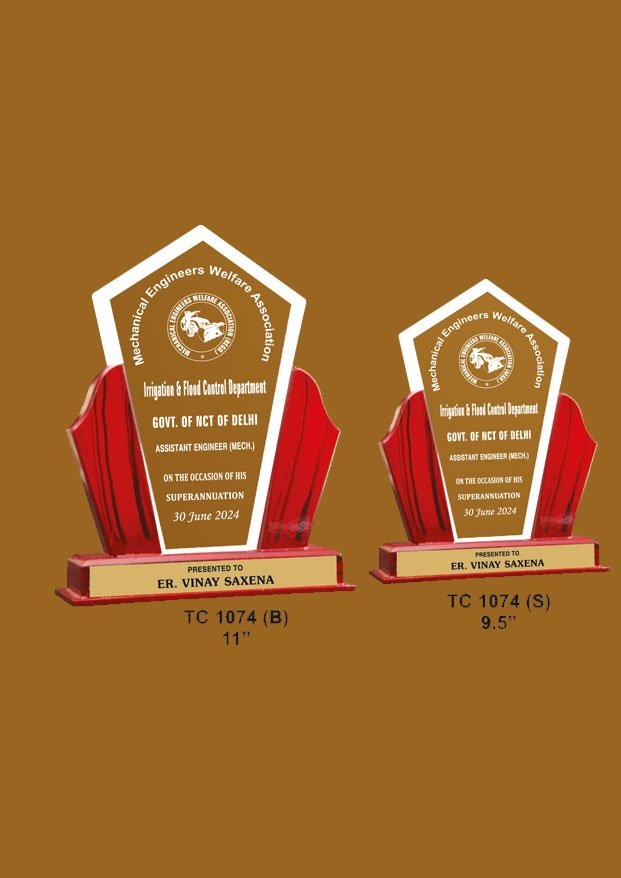 Acrylic Trophy Maker in Delhi