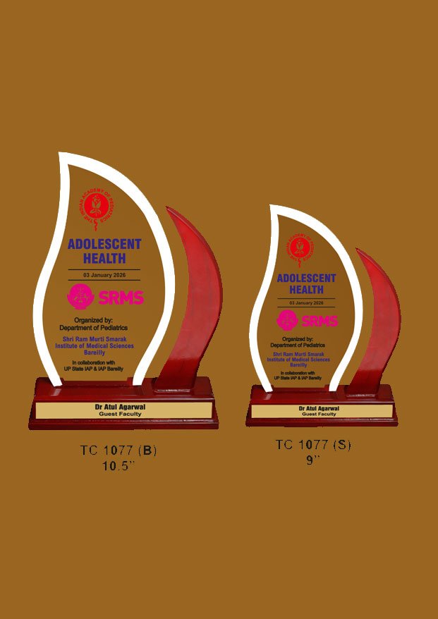 Acrylic Trophy Maker in Ghaziabad