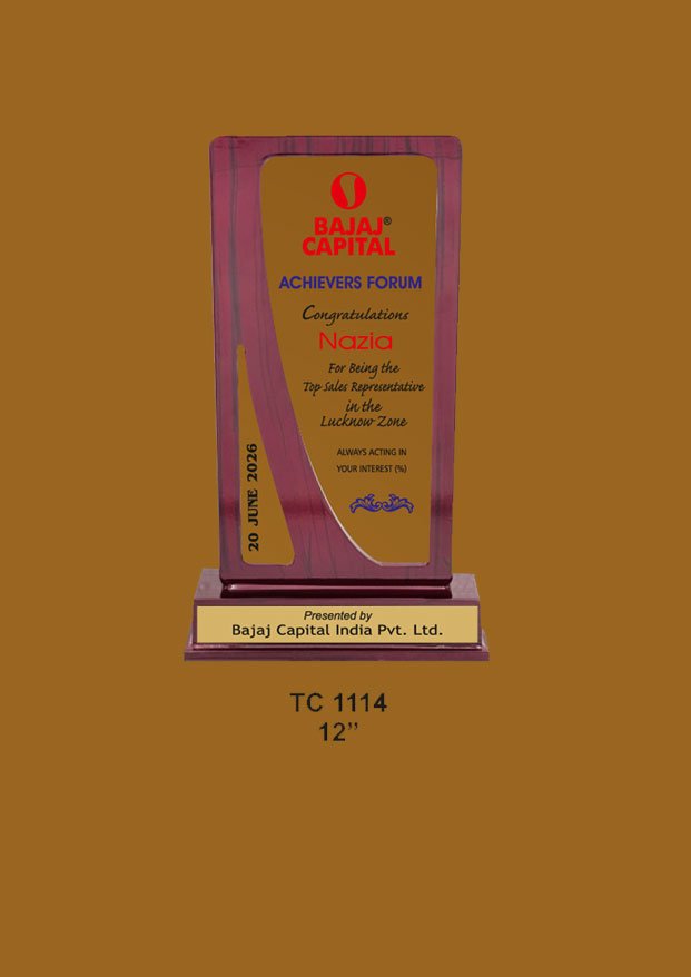 Acrylic-Ca-Special-Awards-Trophy-Manufacturer-1018